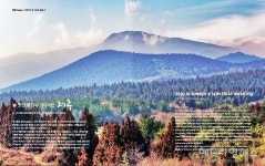 일출봉~송악산까지 아름다운 서귀포 이야기...희망 서귀포 48호 발간