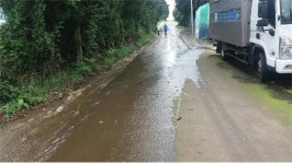 제주, 가축분뇨 무단 유출 양돈장 허가 취소 처분