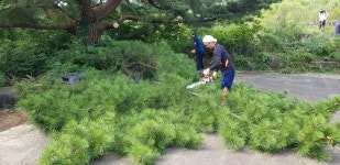 대륜동, 호근소공원 풀베기 활동 전개