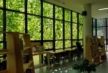 제주 탐라도서관에 미세먼지 차단 그린커튼 눈길