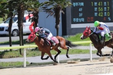 렛츠런파크 제주, 강대은 조교사 통산 700승 달성