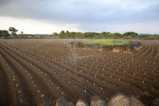 사진그룹 여행과 치유, 서귀포시 중산간 마을 사진전 개최