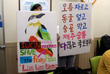 선흘2리 동물테마파크 찬.반 갈등, 대명측 개입 의심