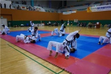 제17회 제주도지사기 합기도대회, 명문합기도 인화도장 종합우승