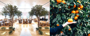 제주신라호텔 만다린 페스티벌...감귤 맛보세요