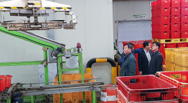 김성언 제주도 정무부지사, 감귤 출하.유통 현장점검