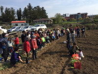 제주도지속가능발전협의회, 빗물활용 주말농장 생명텃밭 분양 가구 모집
