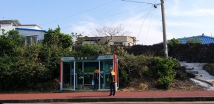 구좌읍지역자율방재단, 공공시설물 방역 실시