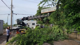 신례1리마을회, 마을안길 수목정비 실시