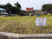 남원읍, 위미항 인근 환경취약지역 신규 화단 조성