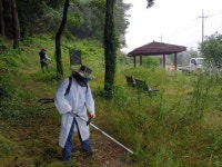 남원2리청년회, 마을안길 예초작업 실시