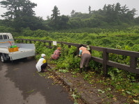 대륜동 지역사회보장협의체, 속골공원 풀베기 실시