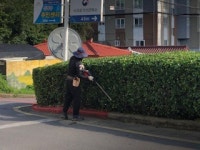 정방동, 추석맞이 녹지 환경정비 추진