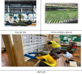어르신 손길 품은 제주 자생식물 빌레낭, 전국으로 간다