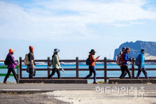 제주올레 길 걸으며 코로나 블루 극복...완주자 늘었다