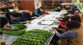 서귀포시, 정착주민·지역주민 간 화합프로그램 추진