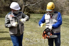 제주자연문화재돌봄사업단, 봉개동 왕벚나무자생지에서 안전 교육 실시