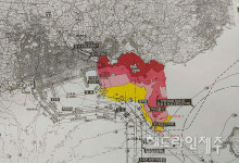 황폐화 되어가는 해양 군락지...천연기념물 제주 연산호 수난