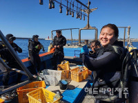 황폐화 되어가는 해양 군락지...천연기념물 제주 연산호 수난