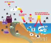 황폐화 되어가는 해양 군락지...천연기념물 제주 연산호 수난