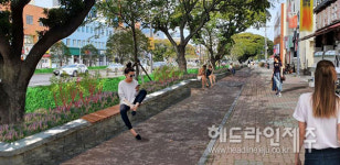 제주시 신대로 녹색 쌈지 도시숲 조성사업 추진