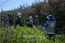제주자연문화재돌봄사업단, 마라도천연보호구역 정기모니터링