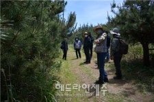 제주자연문화재돌봄사업단, 마라도천연보호구역 정기모니터링