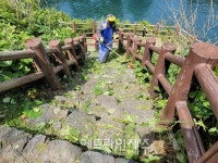 제주자연문화재돌봄사업단, 용연에서 문화재 돌봄 활동