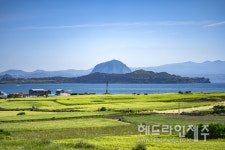전국 사진작가가 포착한 가지각색 제주, Jeju Island-제주섬사진전