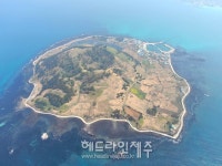 제주자연문화재돌봄사업단, 비양도 정기 모니터링 및 환경 정비