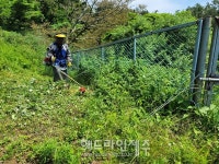 제주자연문화재돌봄사업단, 비양도 정기 모니터링 및 환경 정비
