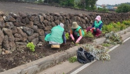 구좌읍 상도리 새마을부녀회, 마을안길 정화활동 실시
