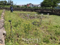 제주자연문화재돌봄사업단, 천연기념물 523호 도련동 귤나무류 모니터링 및 문화재 돌봄 활동