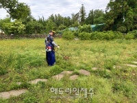 제주자연문화재돌봄사업단, 천연기념물 523호 도련동 귤나무류 모니터링 및 문화재 돌봄 활동