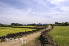 섬속의 섬, 제주의 속살을 보다
