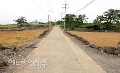 용당리사무소~용당어촌계 복지회관 농어촌도로 정비 본격 추진