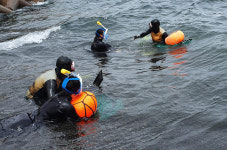 서귀포시, 안덕면 초등학교 대상 해녀문화 체험 프로그램 운영