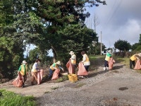 대륜동새서귀포부녀회, 풀베기작업 실시