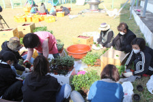 서귀포시자원봉사센터, 주민주도형 자원봉사 프로젝트 추진