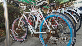 제주 도심거리 자전거 보관소, 관리하는 사람 없나요?