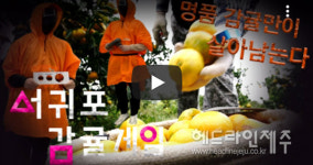 서귀포시 시정홍보, 다양한 소셜미디어 채널 활용 빛났다