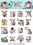 서귀포시 대정읍, 도시재생 캐릭터 몽이 카카오톡 이모티콘 배포