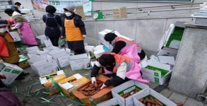 구좌읍주민자치위원회, 구좌향당근 직거래장터 개최