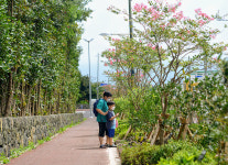 서귀포시, 초등학교 2곳에 자녀안심 그린숲 조성