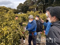 서귀포농업기술센터, 감귤 정지·전정 과정 교육생 모집 