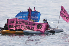 핫핑크돌핀스 제주 남방큰돌고래 보호구역 지정하라