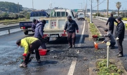 구좌읍, 일주동로 및 주요도로변 환경정비 실시
