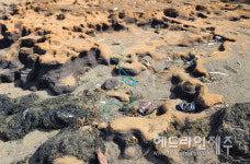 제주 천연기념물 발자국 화석단지 수난....모자반.쓰레기로 뒤덮였다