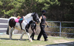 제주경마공원, 장애인 무료 재활승마강습 재개
