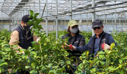 제주농업기술센터, 신규농업인 현장실습교육 실시